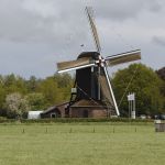 molen-en-gemalendag-2013-den-olden-florus-50-1500px